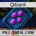 Qibianli 04